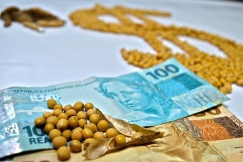 Preço da soja abre 2º dia seguido com forte alta; Bolsa de Chicago sobe 3%