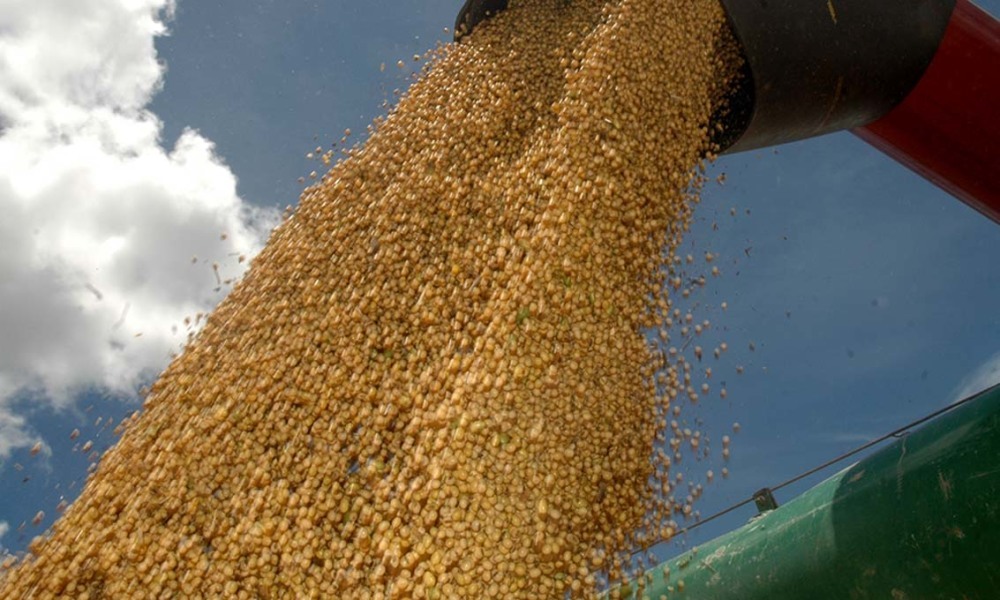 colheita de soja atinge 92%