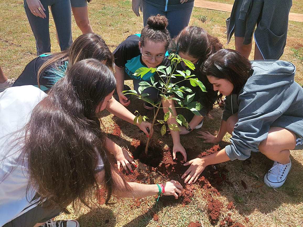 Grupo Viralcool faz doações de mudas de árvores para seus colaboradores