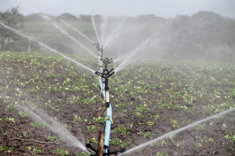 polos de agricultura irrigada vão gerar emprego, afirma Bolsonaro