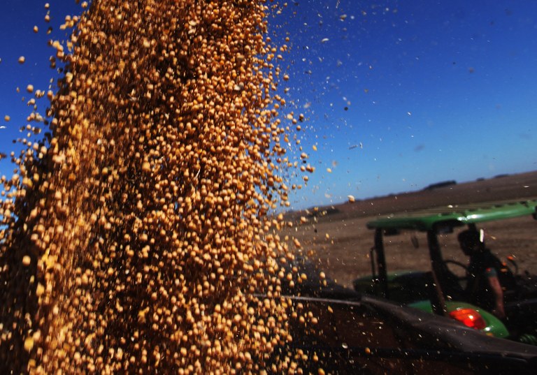 produção se soja do brasil para quase 118 mi