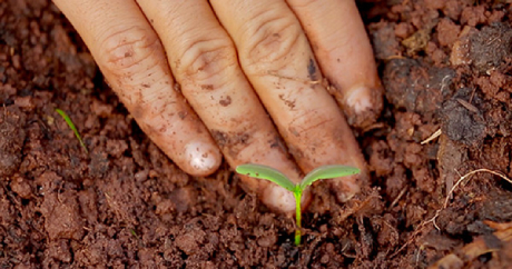 Gestão Ambiental